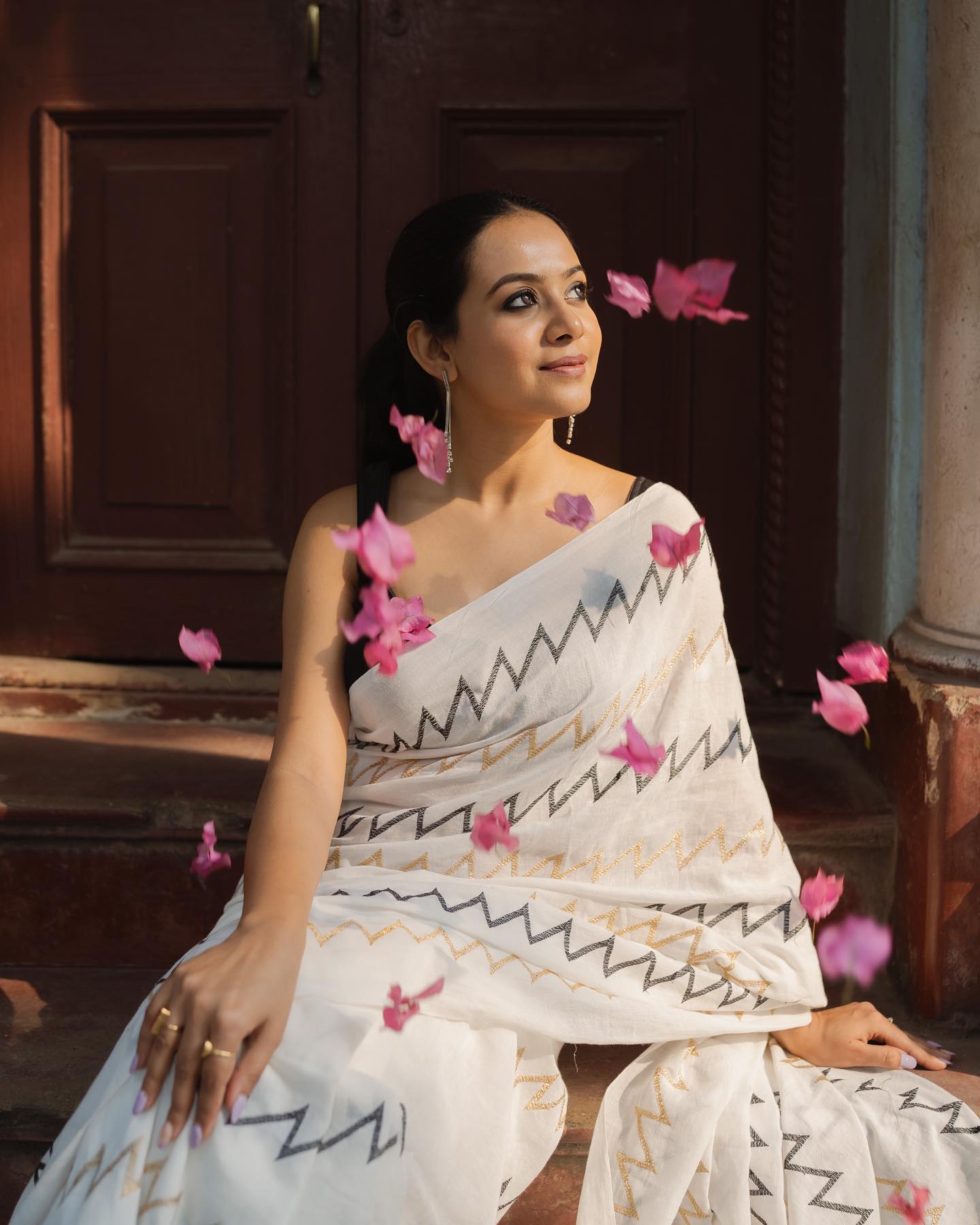Saree Zig Zag